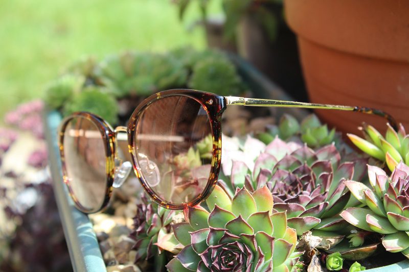 Annabelle Round - Tortoise sunglasses -GlassesShop